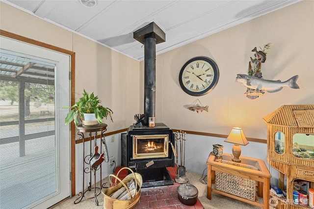 45019 Cougi Dr N, Davenport, WA 99122 - detailed view of a wood stove, crown molding, and carpet