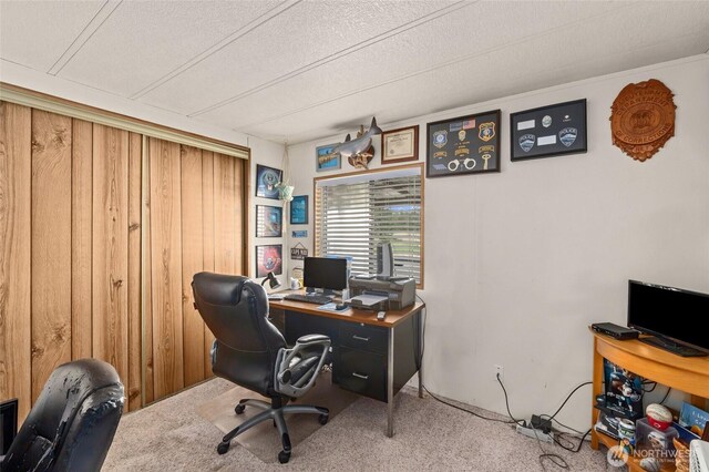 45019 Cougi Dr N, Davenport, WA 99122 - office area featuring carpet and wooden walls