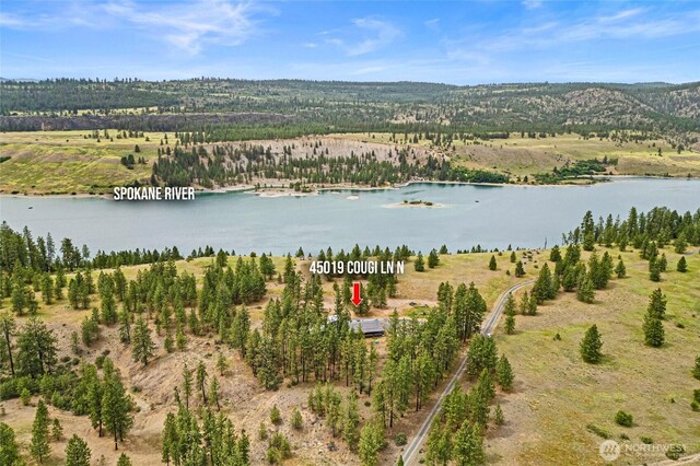 45019 Cougi Dr N, Davenport, WA 99122 - view of property location with a nearby body of water