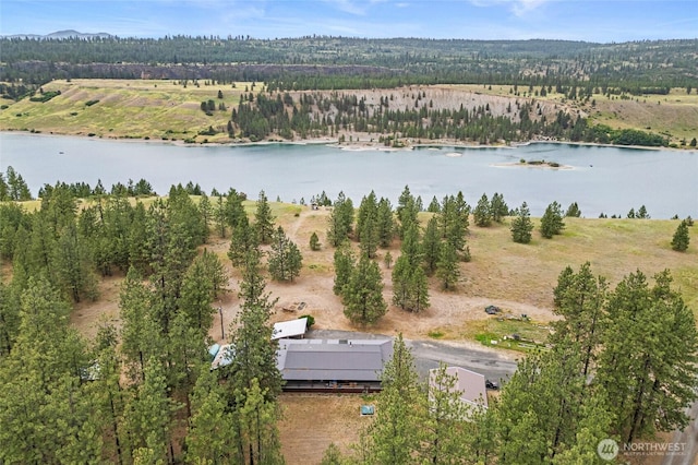 45019 Cougi Dr N, Davenport, WA 99122 - view of property location featuring a large body of water