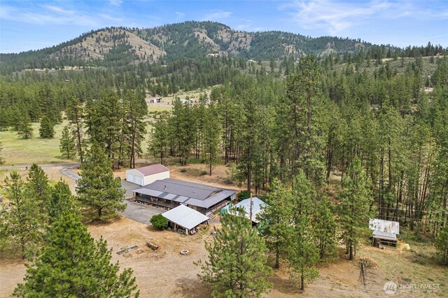 45019 Cougi Dr N, Davenport, WA 99122 - aerial view of property and surrounding area with a mountainous background and a forest