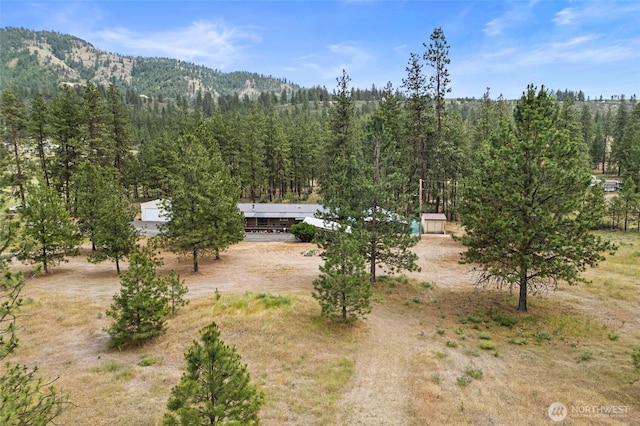 45019 Cougi Dr N, Davenport, WA 99122 - mountain view featuring a forest