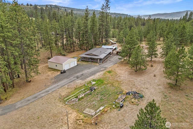 45019 Cougi Dr N, Davenport, WA 99122 - view of subject property with a forest and a mountain backdrop