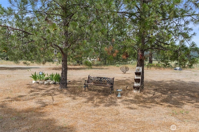 45019 Cougi Dr N, Davenport, WA 99122 - view of yard