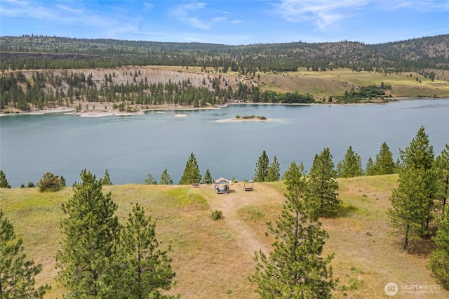 45019 Cougi Dr N, Davenport, WA 99122 - water view