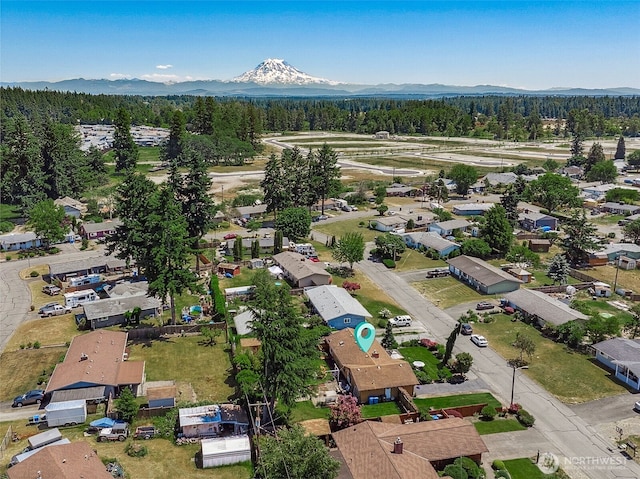 1227 137th St E, Tacoma, WA 98445 - aerial view of a forest and a mountain backdrop