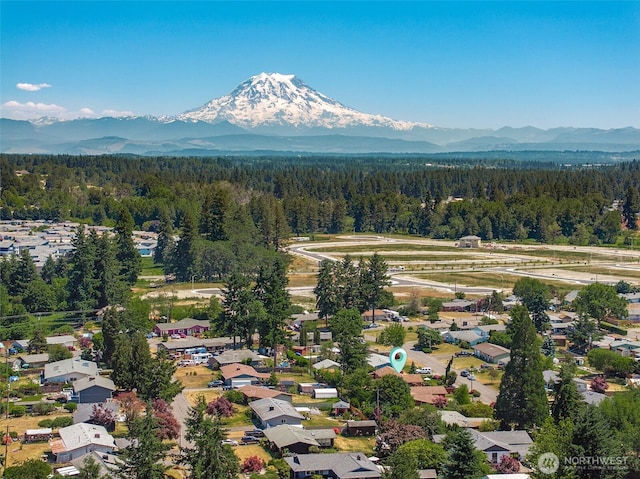 1227 137th St E, Tacoma, WA 98445 - drone / aerial view of a forest and a mountainous background