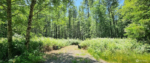 1230 Silverbrook Rd, Randle, WA 98377