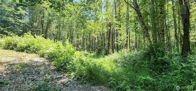 1230 Silverbrook Rd, Randle, WA 98377