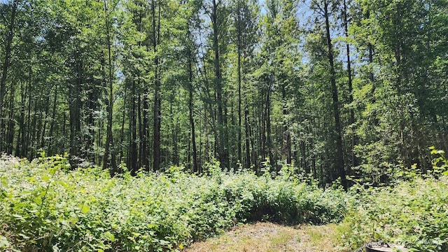 1230 Silverbrook Rd, Randle, WA 98377