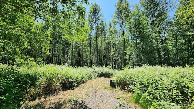 1230 Silverbrook Rd, Randle, WA 98377
