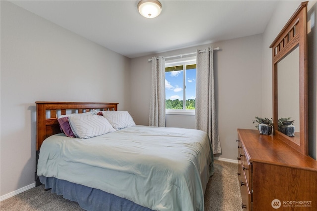 23017 138th Ave E, Graham, WA 98338 - bedroom with carpet and baseboards