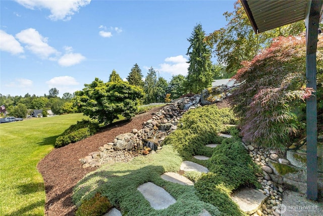 23017 138th Ave E, Graham, WA 98338 - view of grassy yard