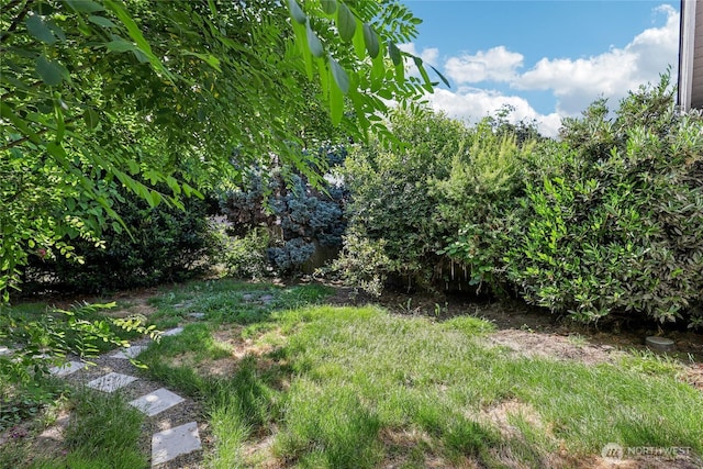 1004 S 5th Ave, Kelso, WA 98626 - view of yard