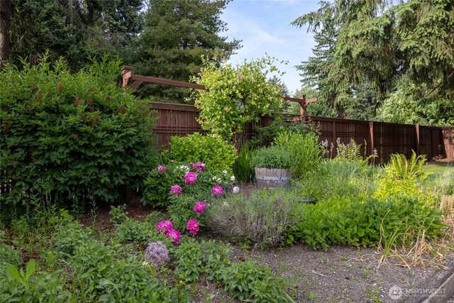 4703 235th St E, Spanaway, WA 98387 - view of yard