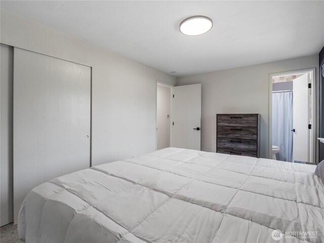 17301 6th Ave E, Spanaway, WA 98387 - bedroom with a closet and ensuite bath