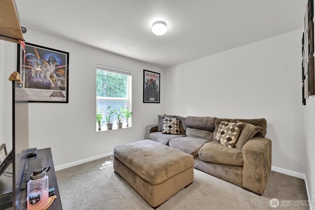 7315 Munn Lake Dr SE, Tumwater, WA 98501 - photo 15