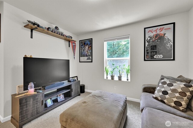 7315 Munn Lake Dr SE, Tumwater, WA 98501 - photo 16