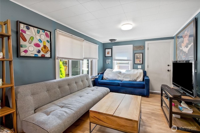 12026 Sand Pt NE, Seattle, WA 98125 - photo 5
