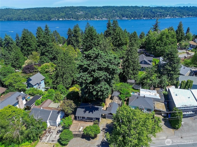 12026 Sand Pt NE, Seattle, WA 98125 - photo 2