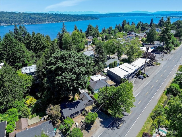 12026 Sand Pt NE, Seattle, WA 98125 - photo 21