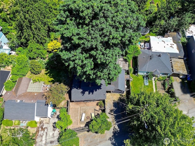 12026 Sand Pt NE, Seattle, WA 98125 - photo 22