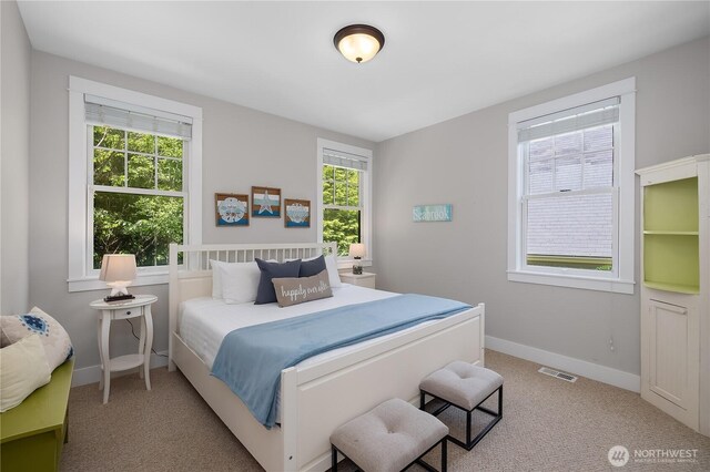 173 Meriweather St, Pacific Beach, WA 98571 - bedroom featuring multiple windows and light colored carpet