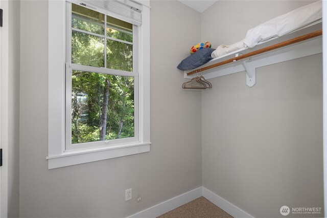 173 Meriweather St, Pacific Beach, WA 98571 - view of spacious closet