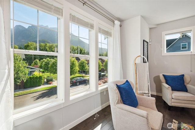 795 NE 2nd St, North Bend, WA 98045 - living area with plenty of natural light, wood finished floors, and a mountain view