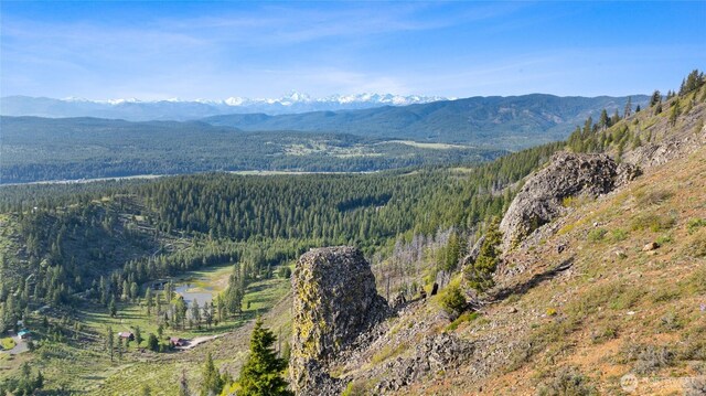 3653 Hart Rd, Cle Elum, WA 98922 - photo 38