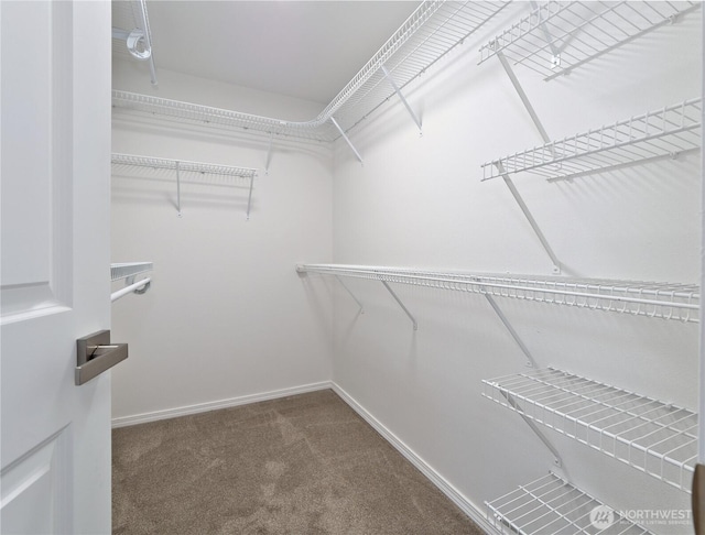 10105 6th Dr SE Unit B, Everett, WA 98208 - spacious closet with carpet floors