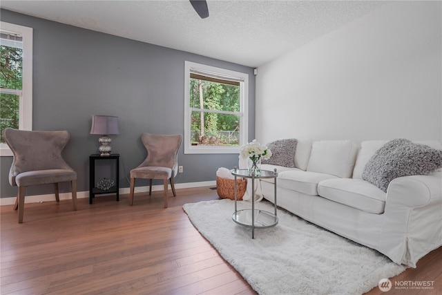 13719 Pinehurst Ln NW, Gig Harbor, WA 98329 - living area featuring wood finished floors, plenty of natural light, a textured ceiling, and a ceiling fan