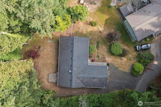 13719 Pinehurst Ln NW, Gig Harbor, WA 98329 - aerial view of property and surrounding area