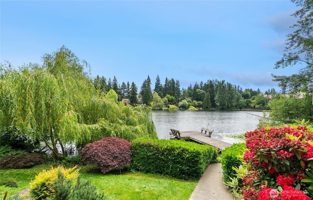 19528 Echo Lake Pl N Unit B202, Shoreline, WA 98133 - water view with a dock
