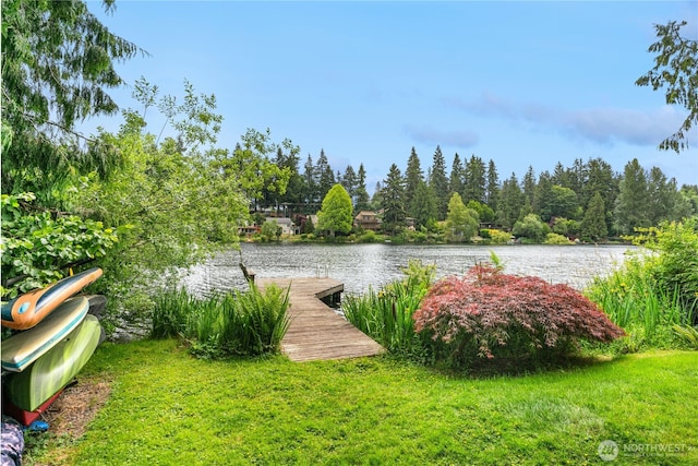 19528 Echo Lake Pl N Unit B202, Shoreline, WA 98133 - view of grassy yard featuring a water view and a boat dock