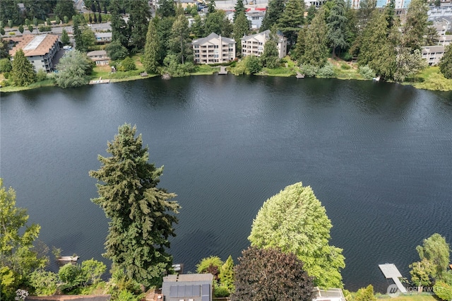 19528 Echo Lake Pl N Unit B202, Shoreline, WA 98133 - bird's eye view of a large body of water
