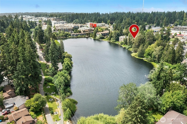 19528 Echo Lake Pl N Unit B202, Shoreline, WA 98133 - aerial view of a large body of water
