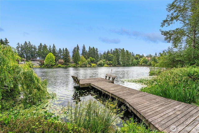 19528 Echo Lake Pl N Unit B202, Shoreline, WA 98133 - dock featuring a water view and a wooded view