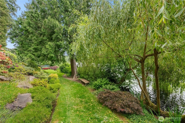 19528 Echo Lake Pl N Unit B202, Shoreline, WA 98133 - view of yard