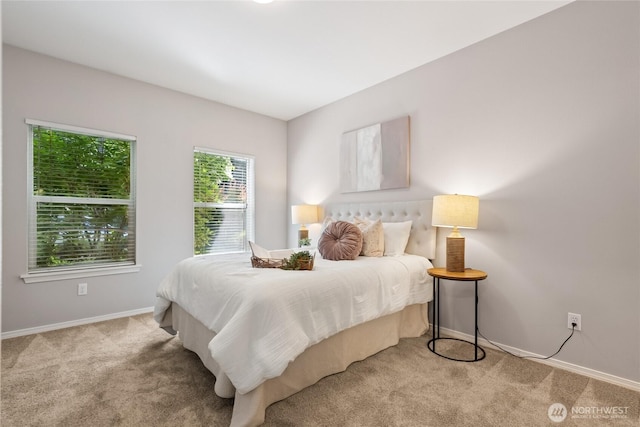 2147 Hammond Ave Unit B10, Dupont, WA 98327 - carpeted bedroom with baseboards