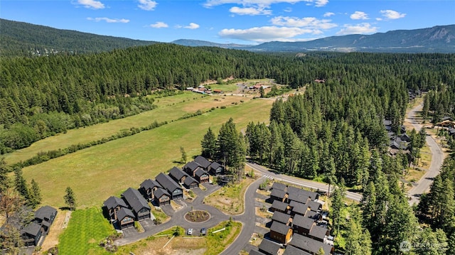 41 Panorama Dr, Cle Elum, WA 98940 - photo 38