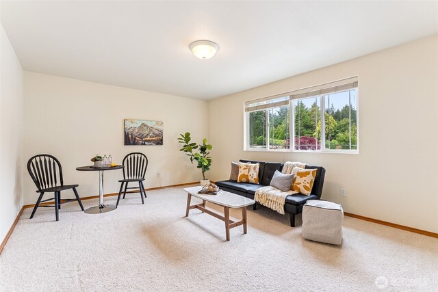 15103 27th Ave NW, Gig Harbor, WA 98332 - photo 23