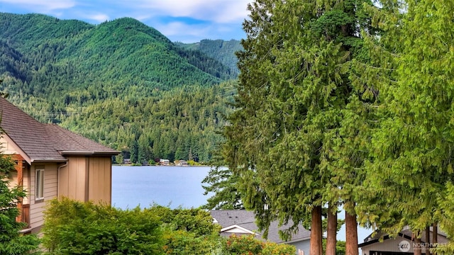 21 Longshore Ln, Bellingham, WA 98229 - mountain view featuring a forest and a large body of water
