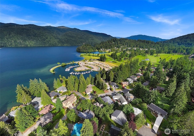 21 Longshore Ln, Bellingham, WA 98229 - aerial view of property and surrounding area featuring a water and mountain view and a forest