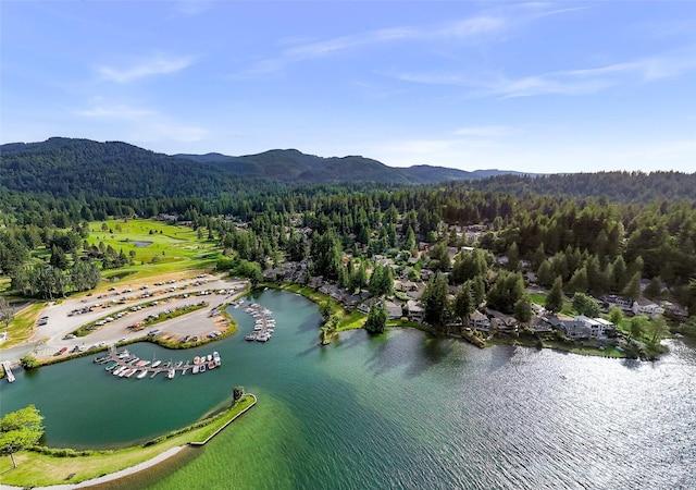 21 Longshore Ln, Bellingham, WA 98229 - bird's eye view of a water and mountain view