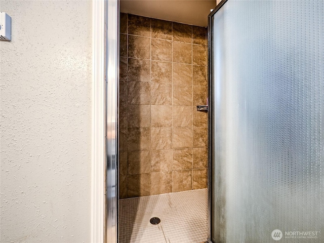 404 Nixon St S, Roy, WA 98580 - bathroom featuring a shower stall