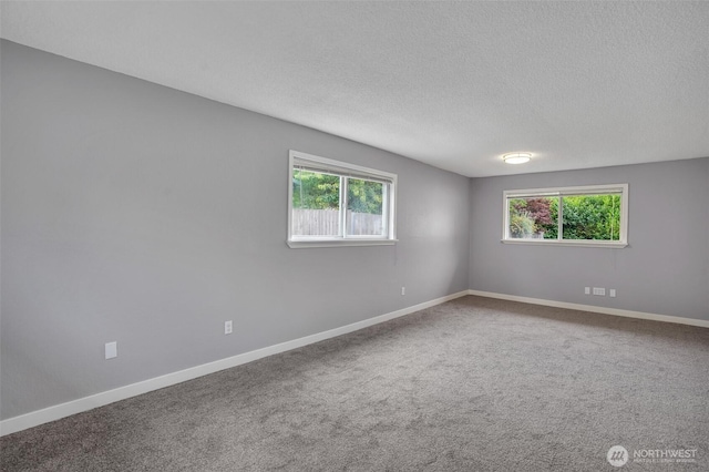 4801 78th St E, Tacoma, WA 98443 - unfurnished room featuring plenty of natural light, a textured ceiling, and carpet flooring