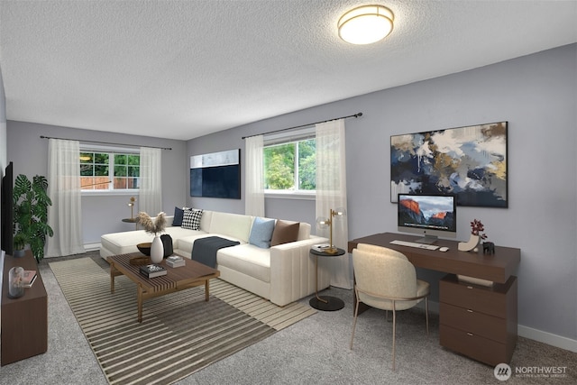 4801 78th St E, Tacoma, WA 98443 - living area featuring plenty of natural light, a textured ceiling, and carpet