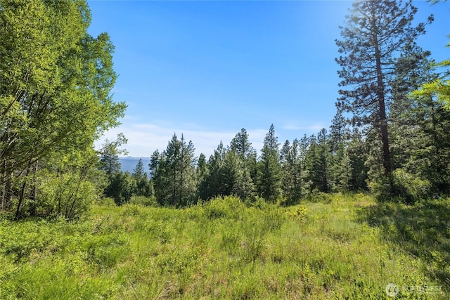 29 Forest Ridge Dr, Cle Elum, WA 98922 - photo 5