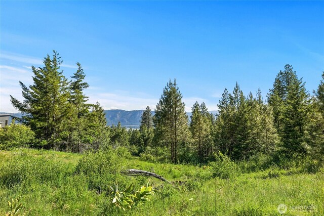 29 Forest Ridge Dr, Cle Elum, WA 98922 - photo 4